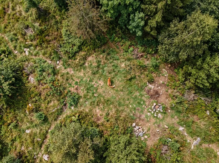 Aerial / Drone sample